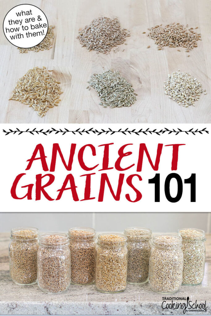 Ancient Grains in a Healthy Cereal: A Return to Nutritional Roots